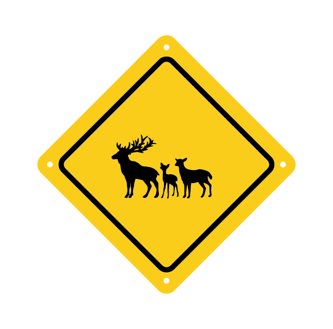 Personalized Deer Family Crossing Road Sign